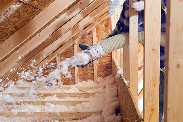 Eco-Friendly Insulation Solutions in Ely, MN